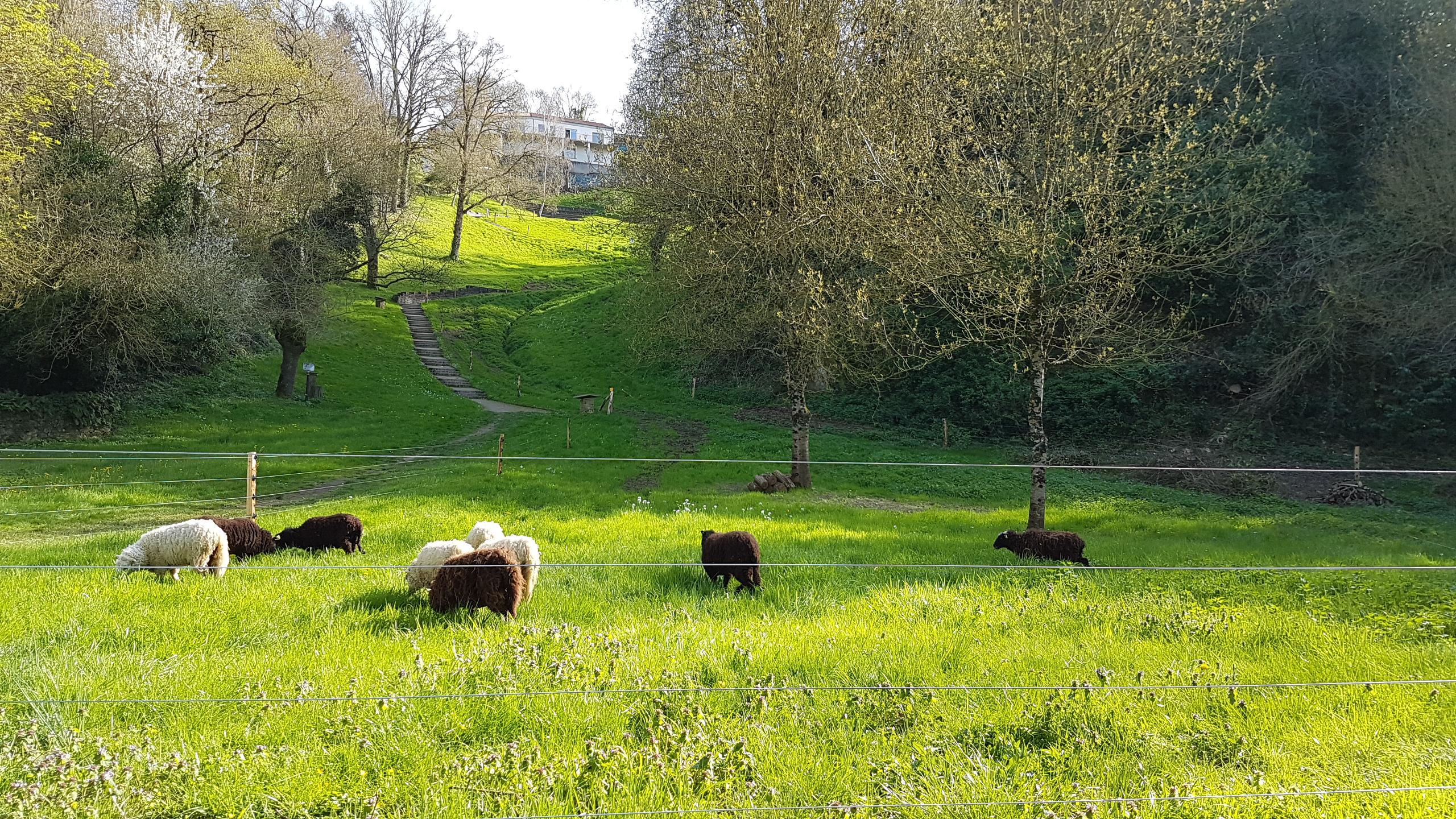 OREE D'ANJOU COMMUNE DELEGUEE CHAMPTOCEAUX